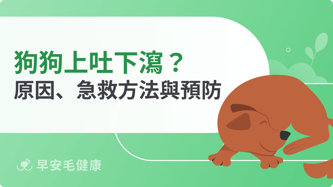 狗狗上吐下瀉怎麼辦？常見原因、急救處理與日常預防指南