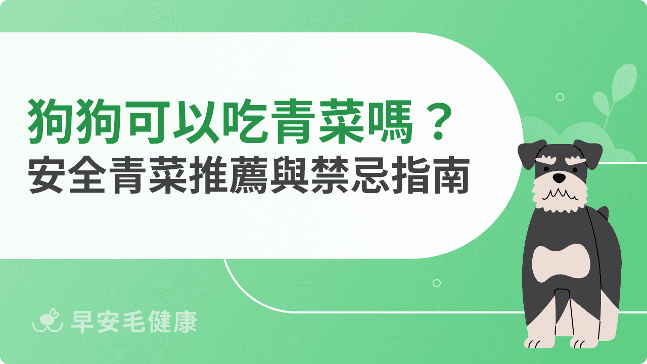 狗狗可以吃青菜嗎？常見安全青菜推薦與需避免的種類指南