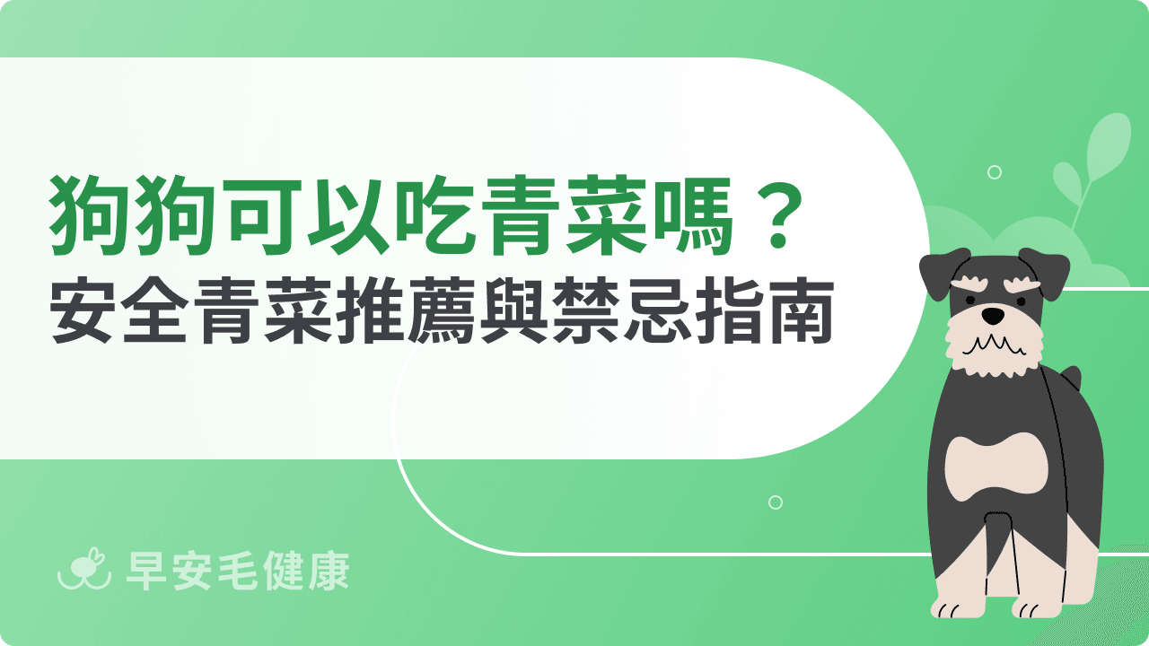 狗狗可以吃青菜嗎？常見安全青菜推薦與需避免的種類指南