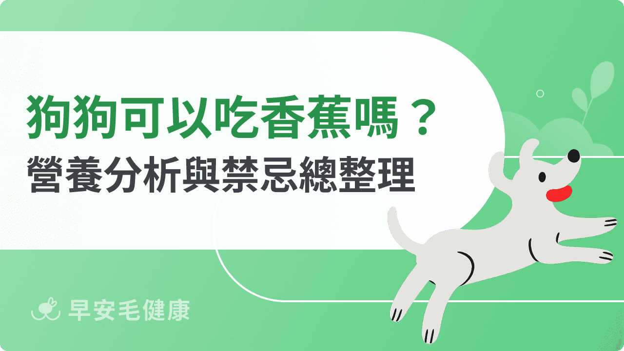 狗可以吃香蕉嗎？香蕉營養好處、風險與正確餵食指南！