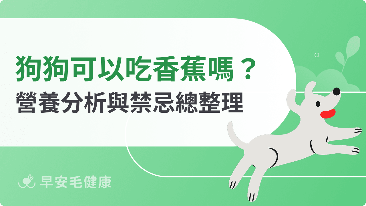 狗可以吃香蕉嗎？香蕉營養好處、風險與正確餵食指南！