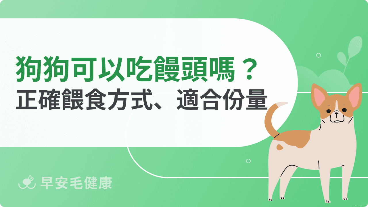 狗狗可以吃饅頭嗎？完整解析能否食用與飲食注意事項