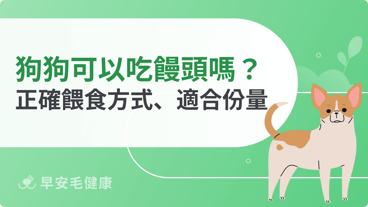 狗狗可以吃饅頭嗎？完整解析能否食用與飲食注意事項