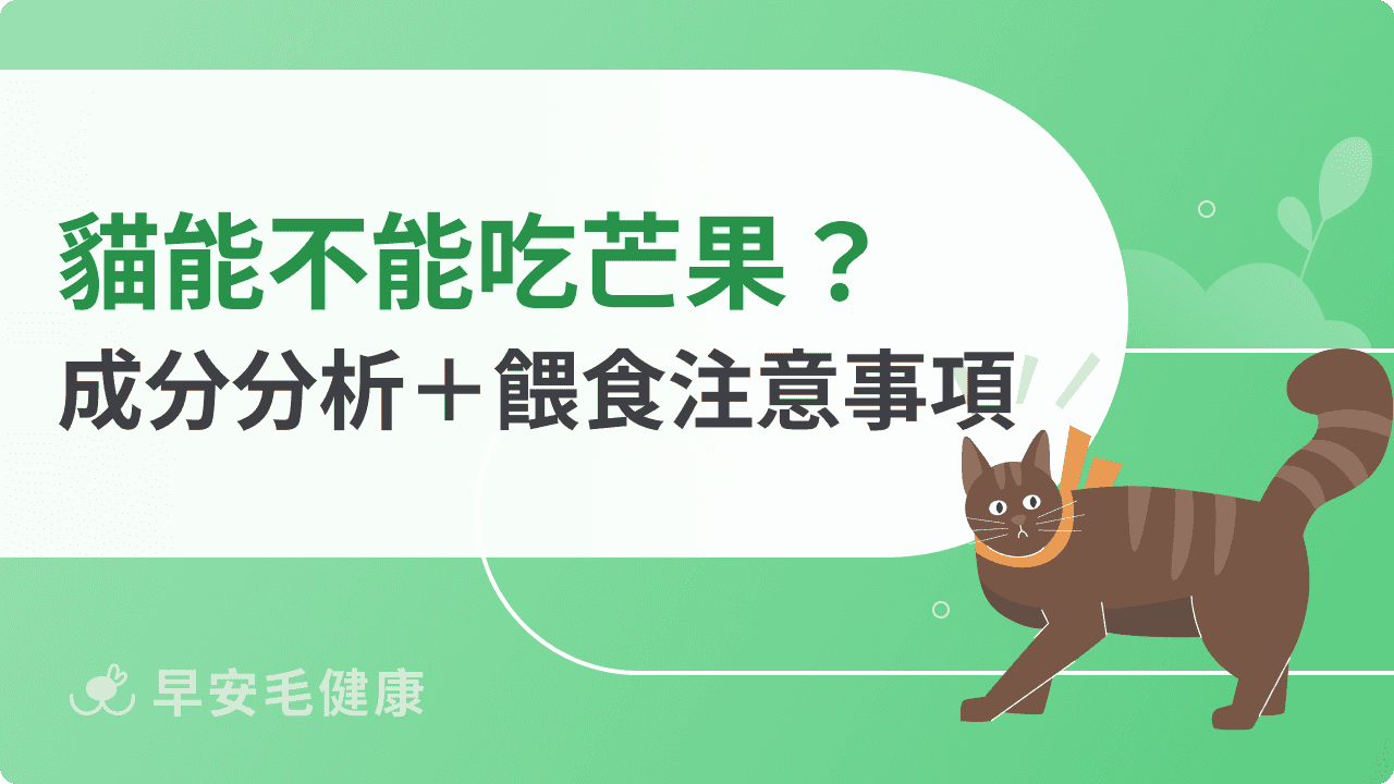 貓能不能吃芒果？成分分析＋餵食注意事項總整理