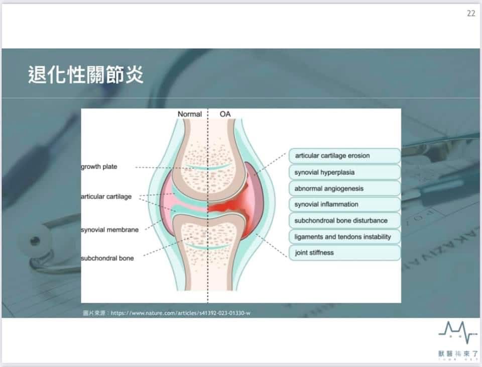 2.mountainvet-pets-osteoarthritis-guide-1