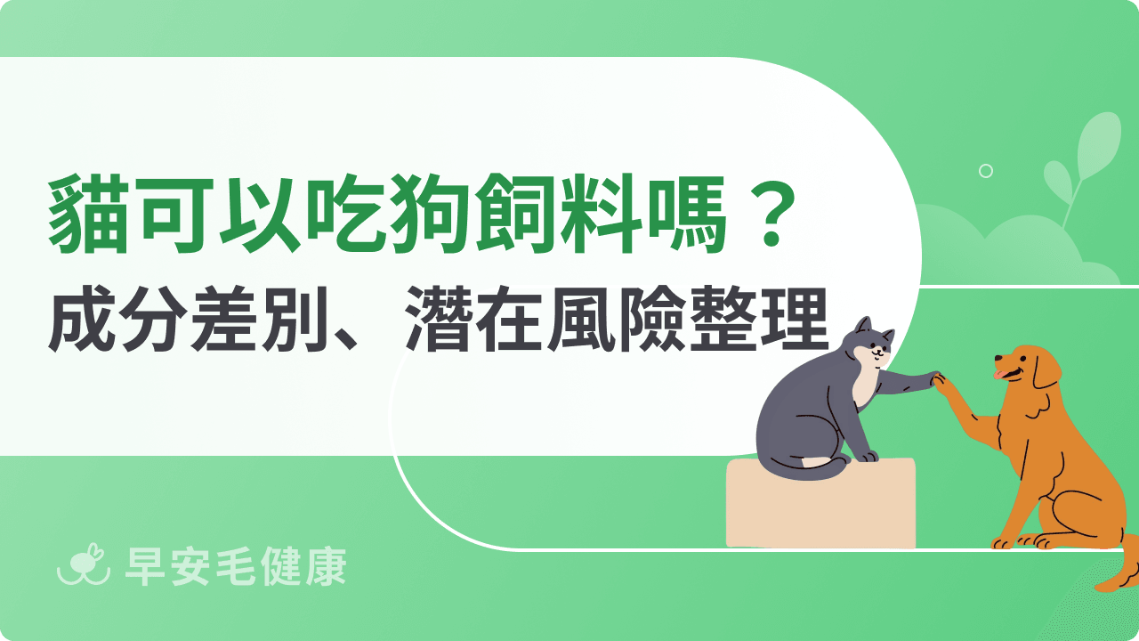 貓可以吃狗飼料嗎？成分差別、潛在風險一次看