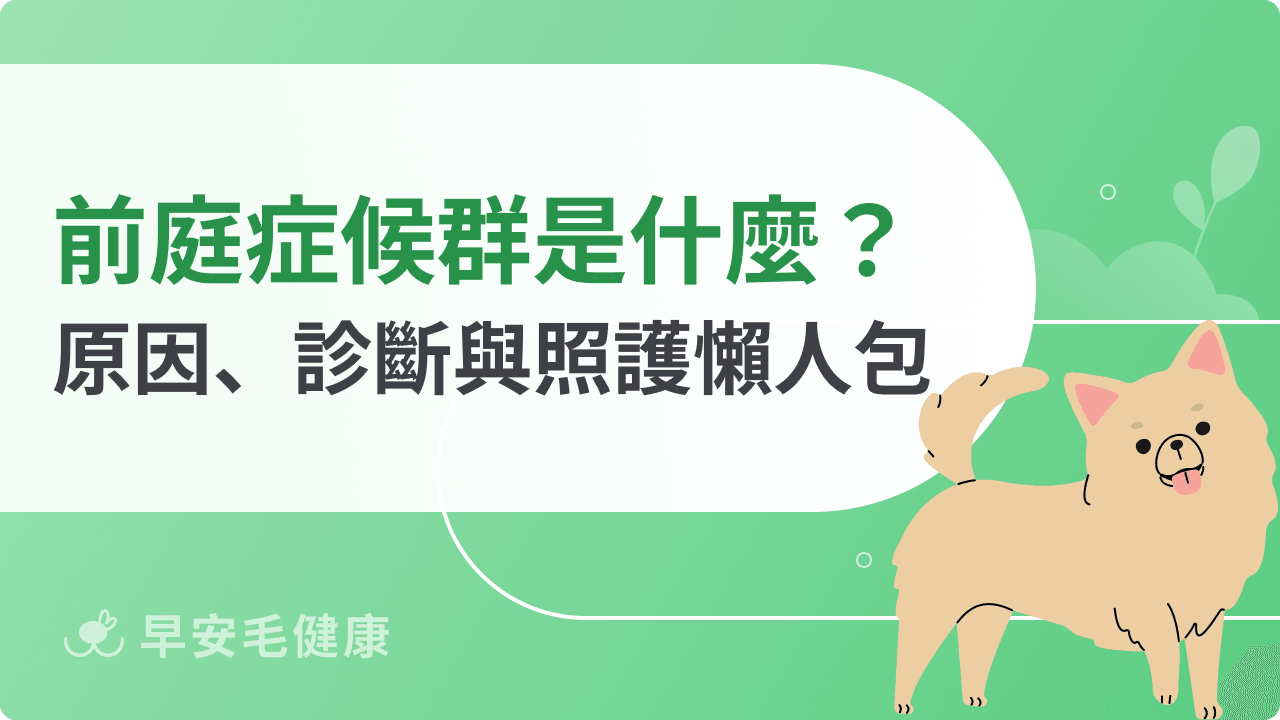 狗狗前庭症候群會好嗎？狗歪頭走路不穩的治療黃金期與照護指南！