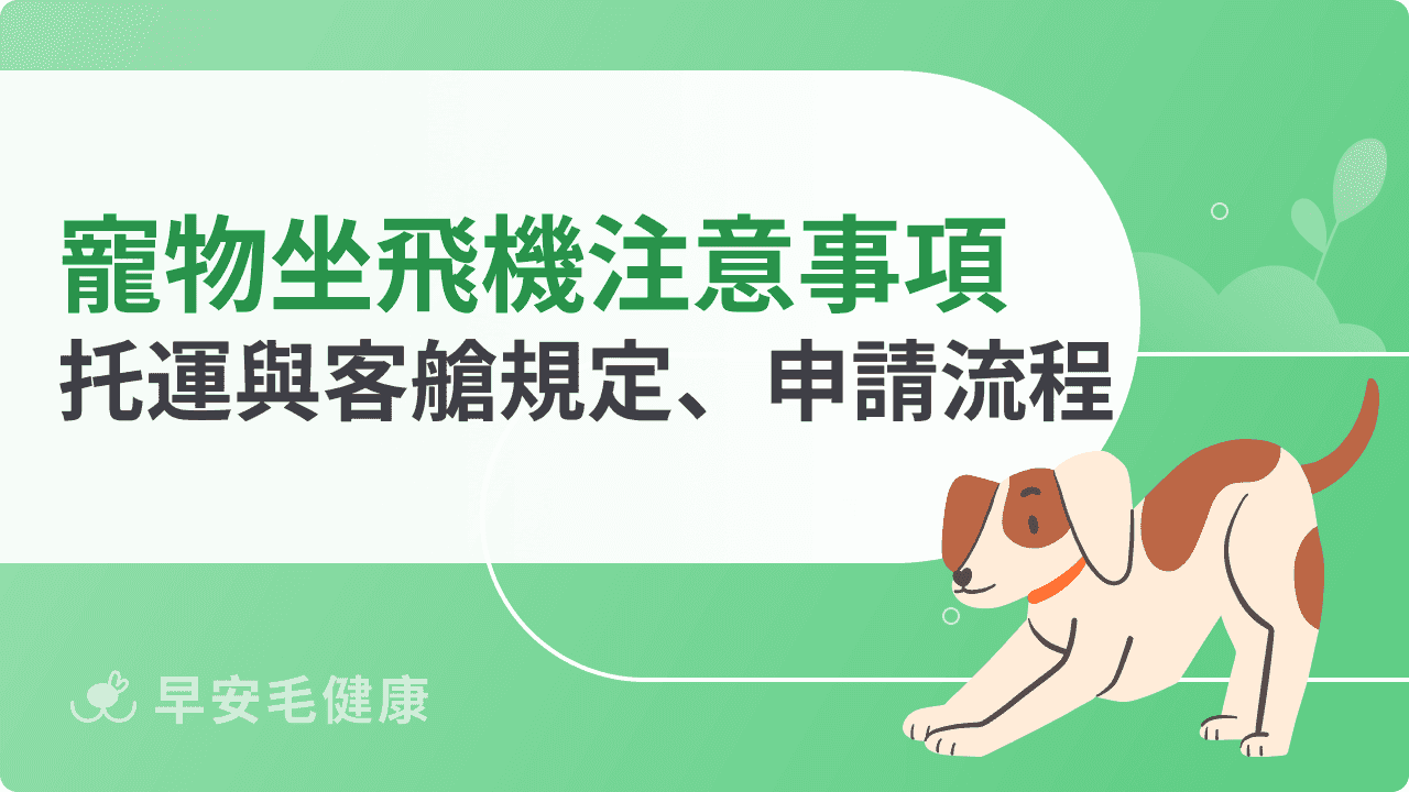 寵物坐飛機注意事項整理！托運與客艙規定、申請流程懶人包