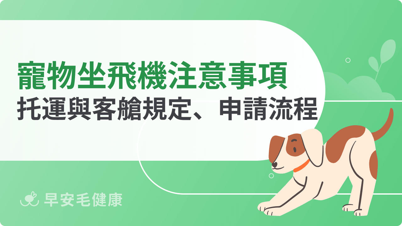 寵物坐飛機注意事項整理!托運與客艙規定、申請流程懶人包