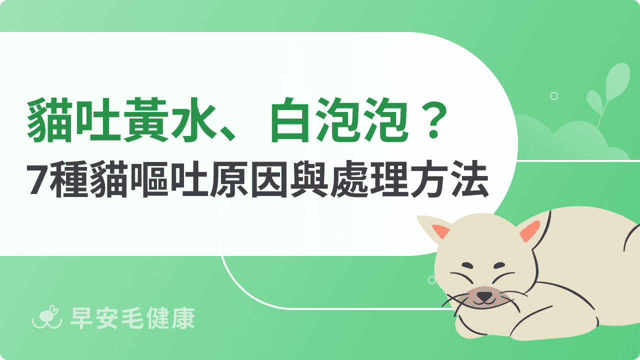 貓吐黃水怎麼辦？吐粉色水、白泡泡？7原因＋就醫指南