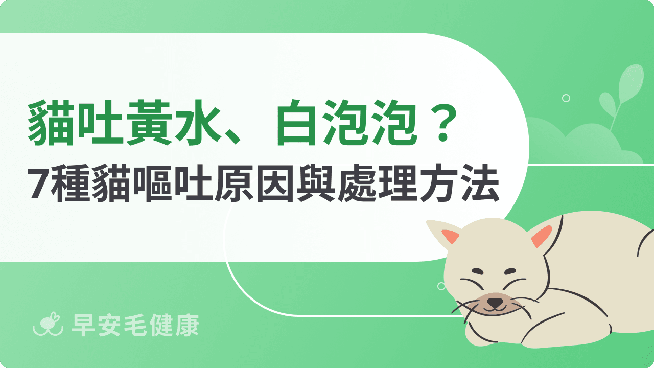 貓吐黃水怎麼辦?吐粉色水、白泡泡?7原因+就醫指南