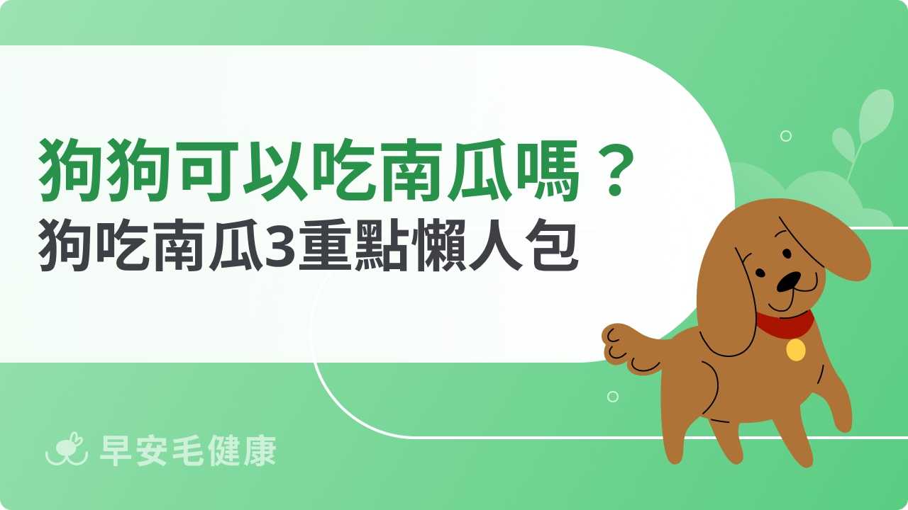 狗狗可以吃南瓜嗎？對身體保健有幫助？獸醫觀點完整解析