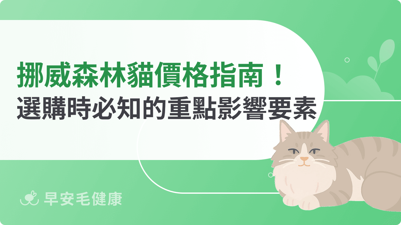 挪威森林貓價格指南!選購時必知的重點影響要素