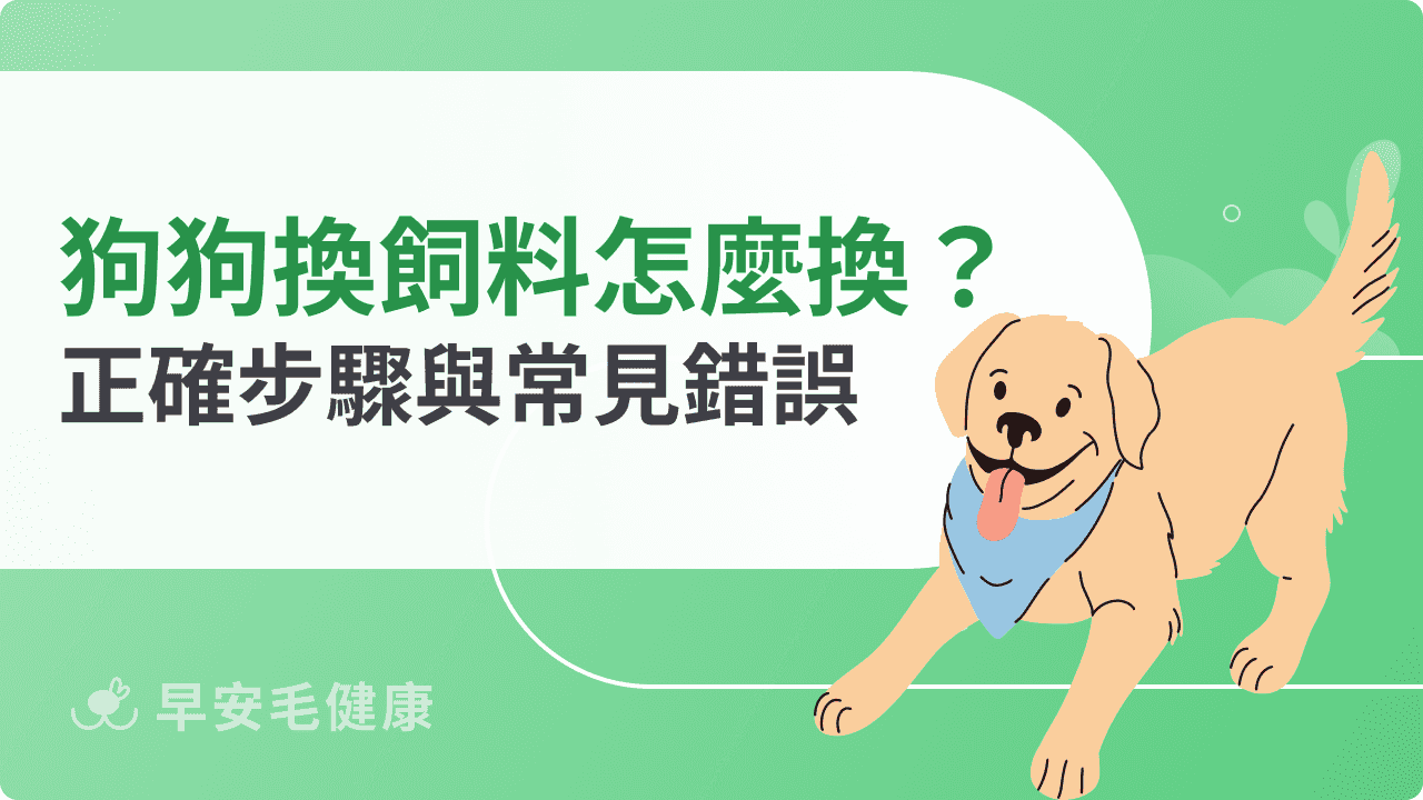 狗狗換飼料怎麼換？正確步驟與常見錯誤一次看懂