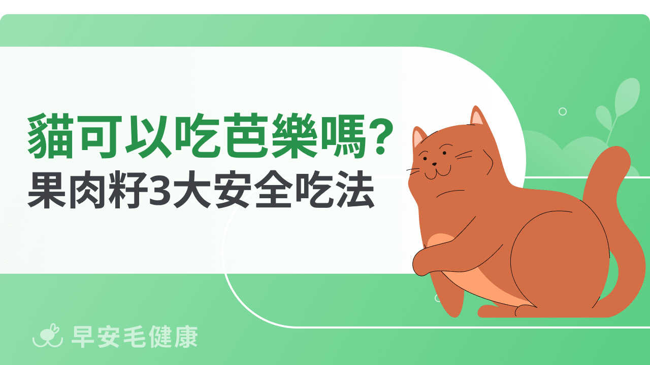 貓可以吃芭樂嗎？果肉、種籽能不能吃快速搞懂安全重點！
