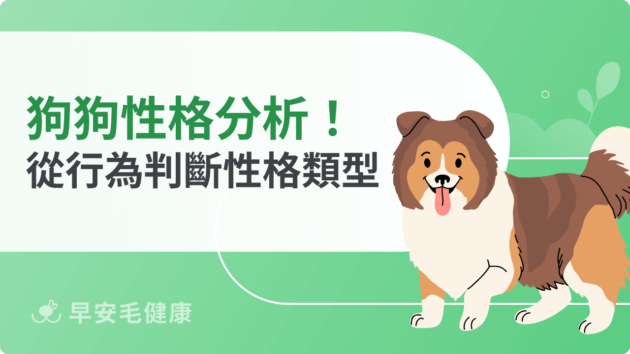 狗狗性格分析：你家毛孩是哪一型？從行為判斷性格類型