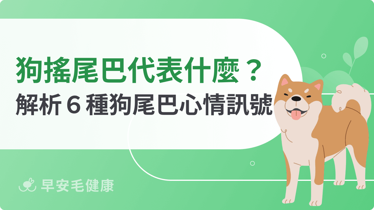 狗尾巴意思解析！下垂、翹起與搖擺等6 種狗狗搖尾巴情緒解析