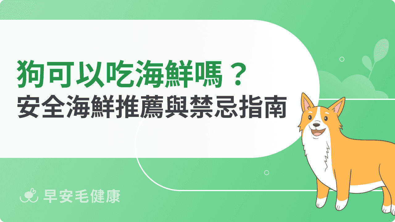 狗可以吃海鮮嗎？營養好處多，但「這些」有毒別餵！