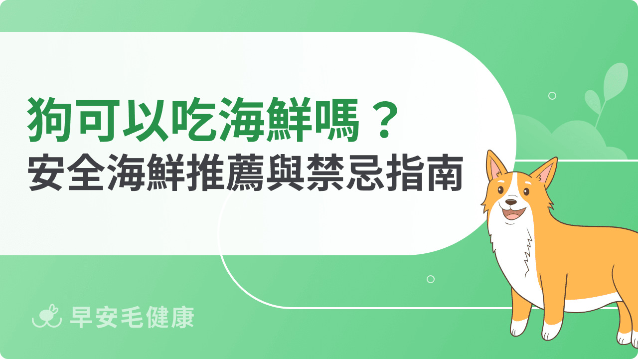 狗可以吃海鮮嗎？營養好處多，但「這些」有毒別餵！