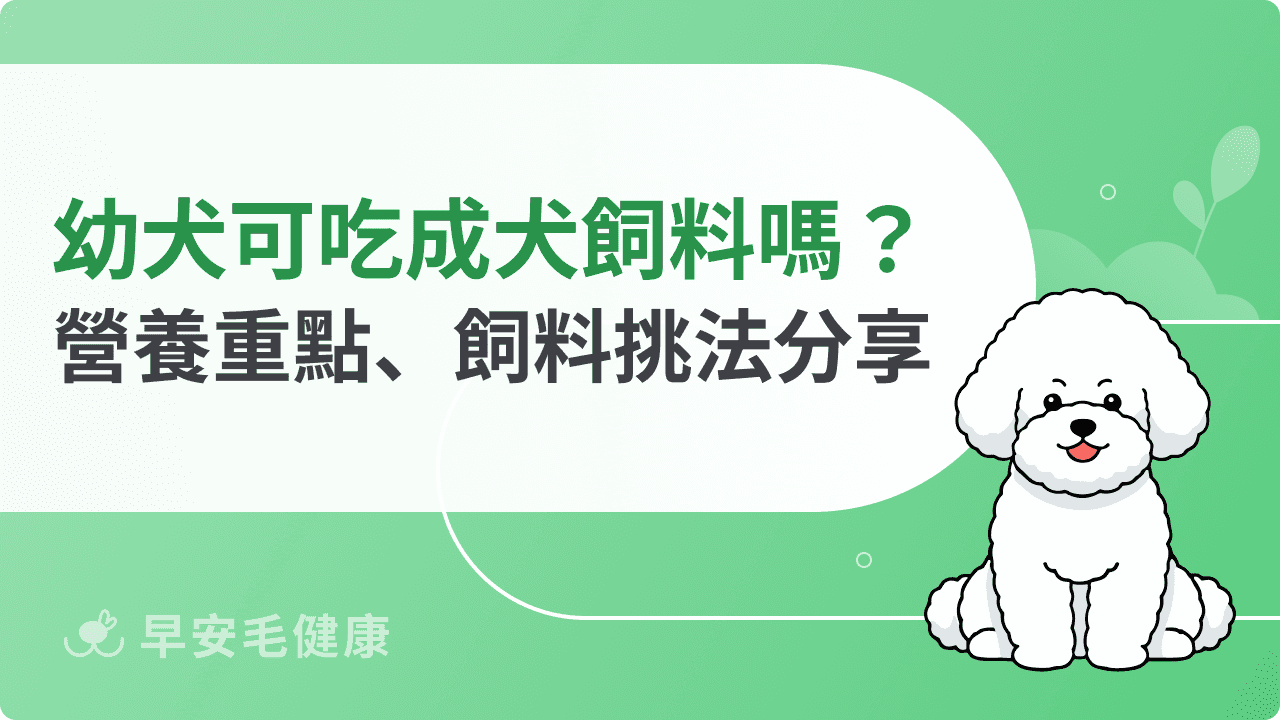 幼犬吃成犬飼料會營養不良嗎？幼犬營養重點、飼料挑選方法分享