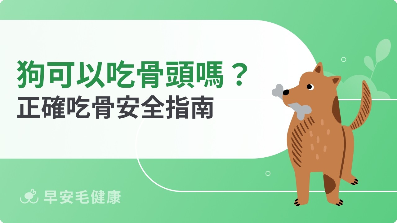 狗可以吃骨頭嗎?錯誤餵法恐致命!正確吃骨安全指南