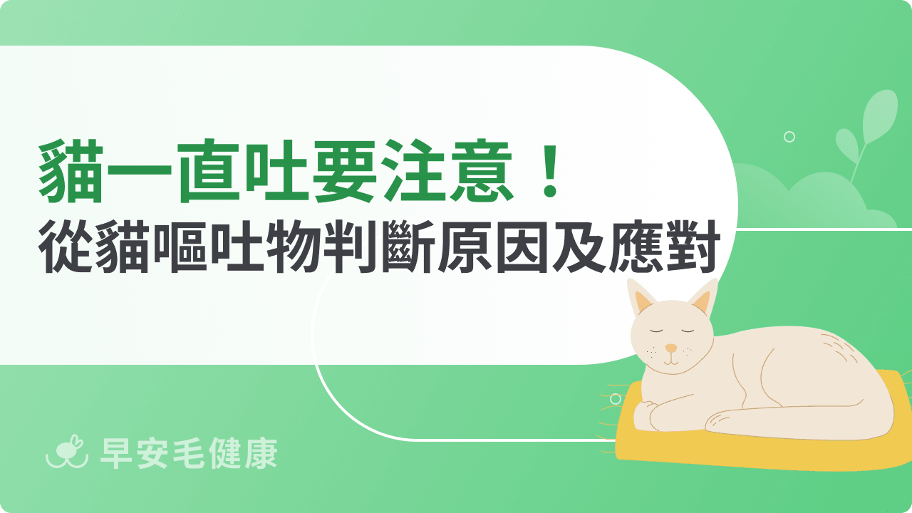 貓一直吐要注意！教你從貓嘔吐物判斷原因及應對方法