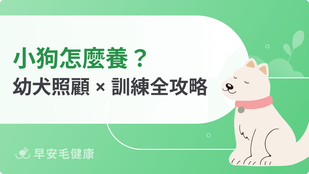 小狗幼犬照顧必看！一個月訓練、食量與飲食挑選技巧