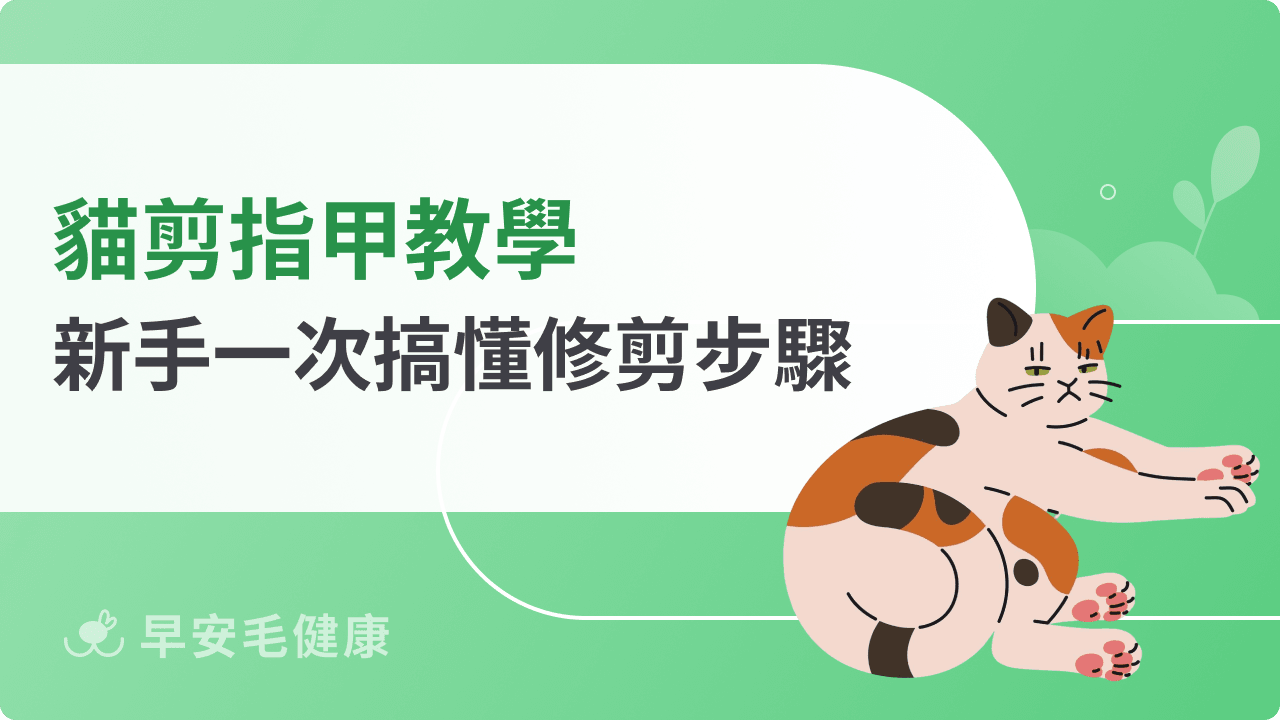 貓剪指甲教學指南看這篇！一次搞懂修剪步驟，新手也能輕鬆上手！