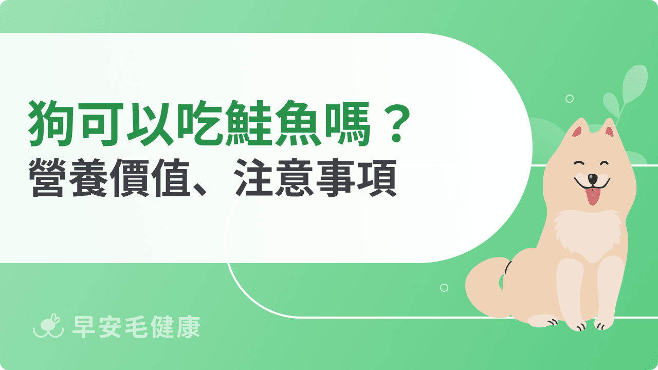 狗可以吃鮭魚嗎？一起認識讓狗狗安心吃鮭魚的黃金守則