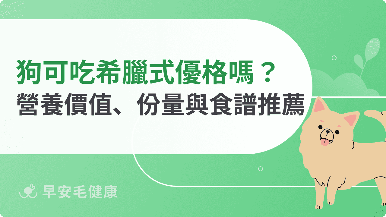 狗狗可以吃希臘式優格嗎？營養價值、餵食頻率與飲食搭配指南