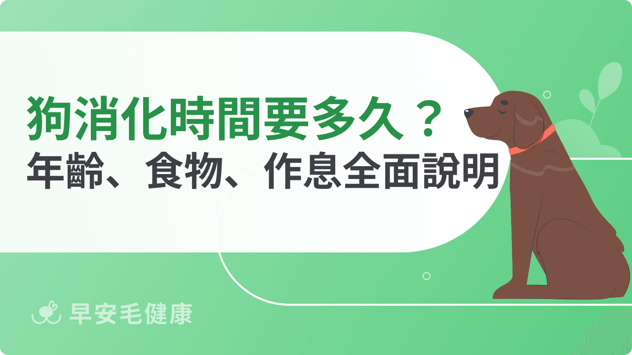 狗狗消化時間要多久？年齡、食物、作息全面說明