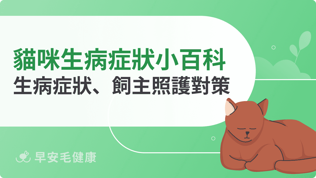 貓咪生病症狀小百科：常見生病症狀、飼主照護對策一次看懂