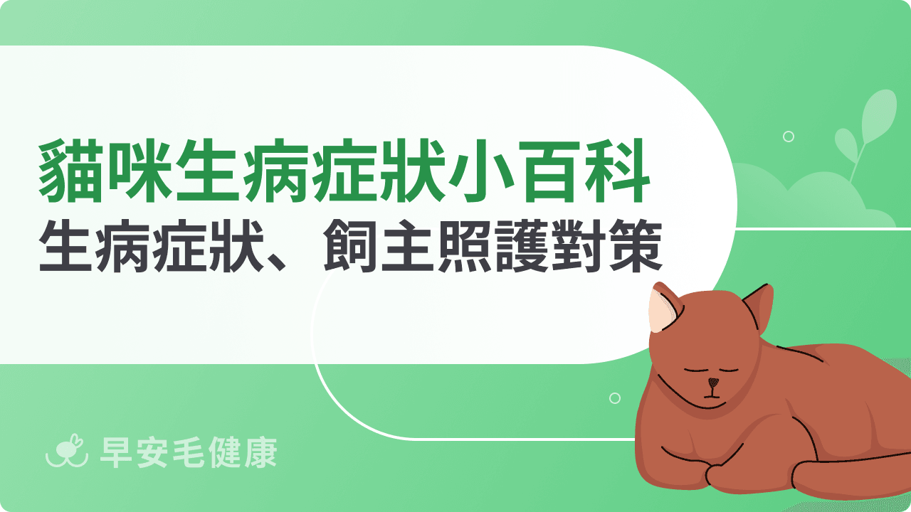 貓咪生病症狀小百科：常見生病症狀、飼主照護對策一次看懂