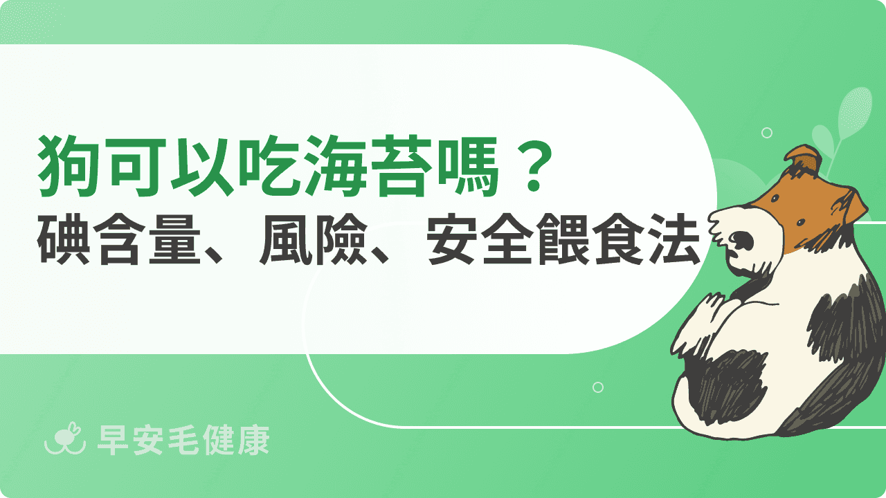 狗可以吃海苔嗎？碘含量、風險與安全餵食方式