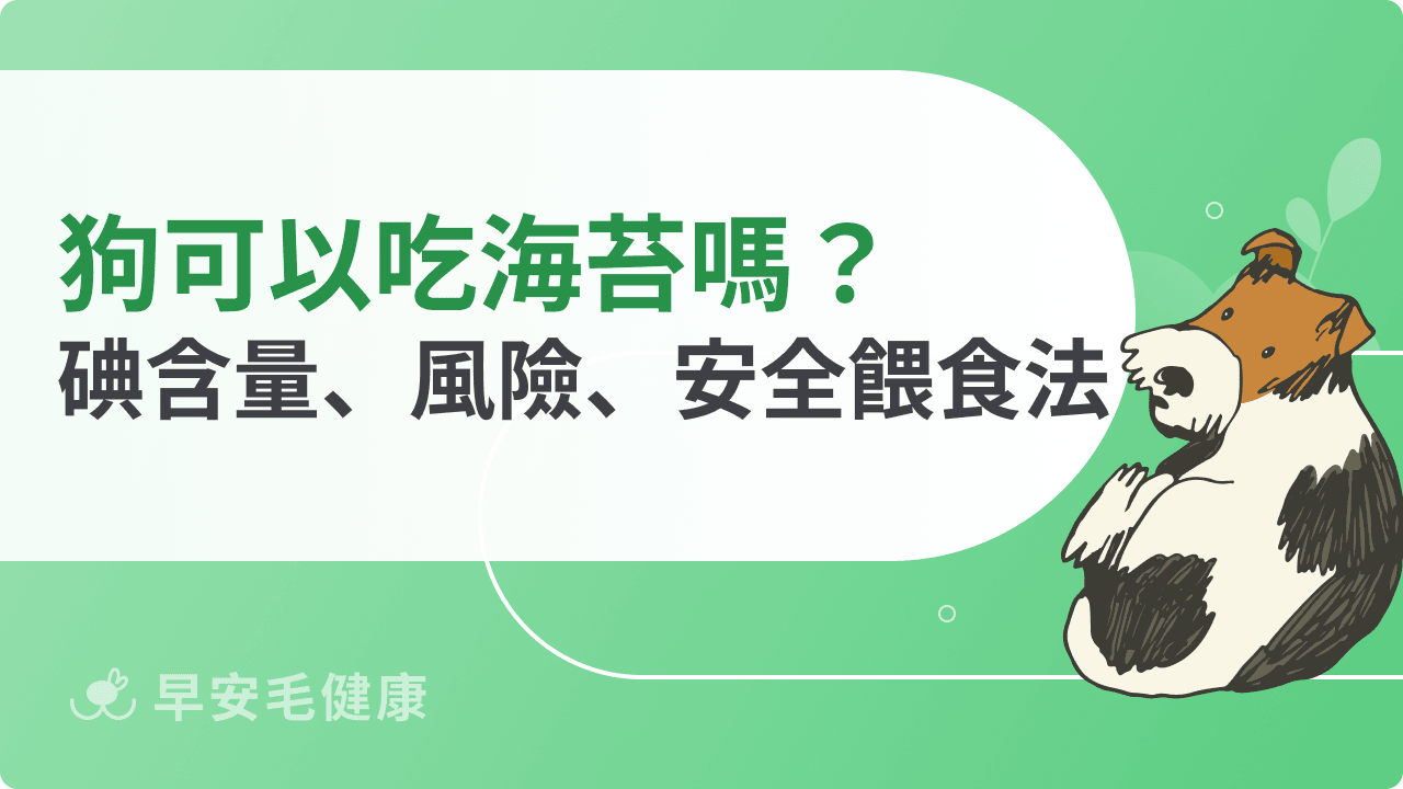 狗可以吃海苔嗎？碘含量、風險與安全餵食方式