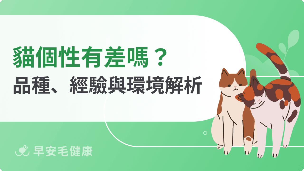 貓個性有差嗎？從品種、經驗與環境解析貓咪性格