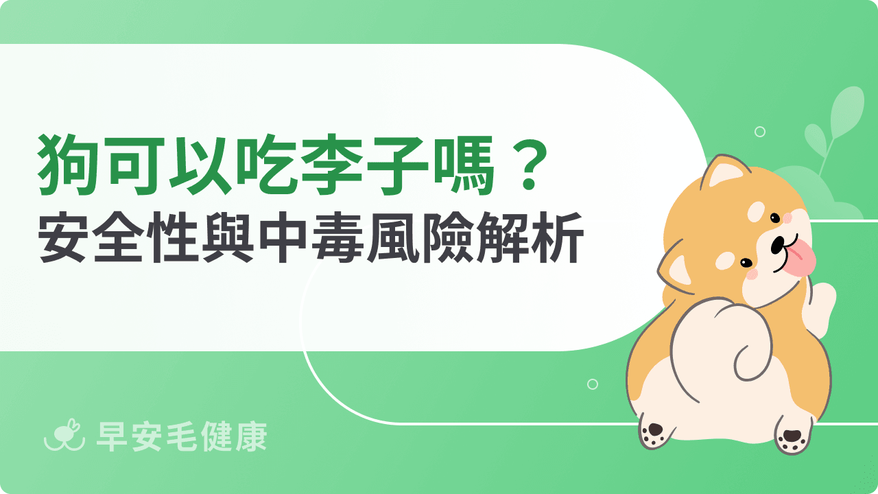 狗可以吃李子嗎？果肉、果核安全性與中毒風險解析