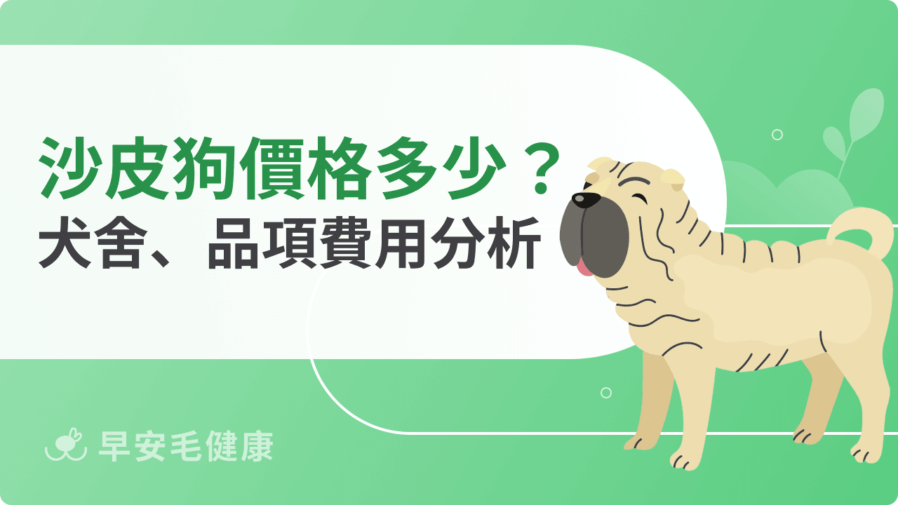 沙皮狗價格值得嗎？避免買貴踩雷，先看懂這些關鍵