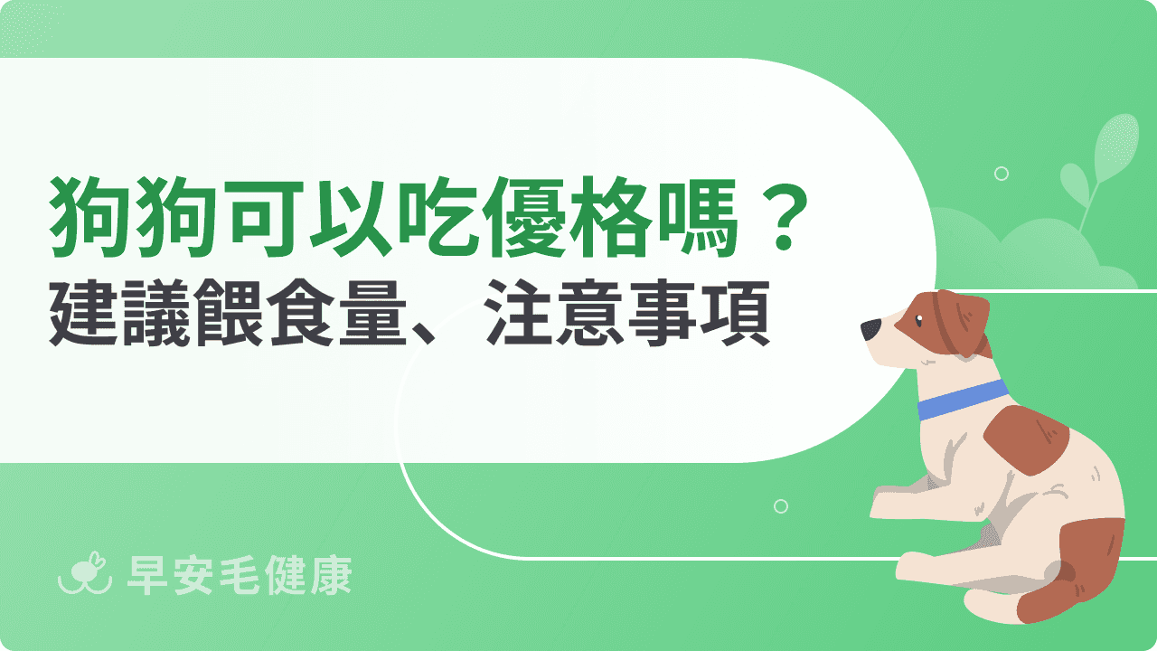 狗狗可以吃優格嗎？必看餵食建議與常見問題解答