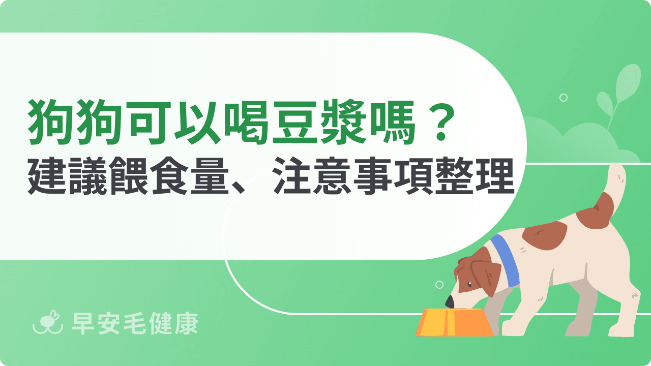 狗狗可以喝豆漿嗎？喝多恐傷身，掌握正確餵食量才健康！