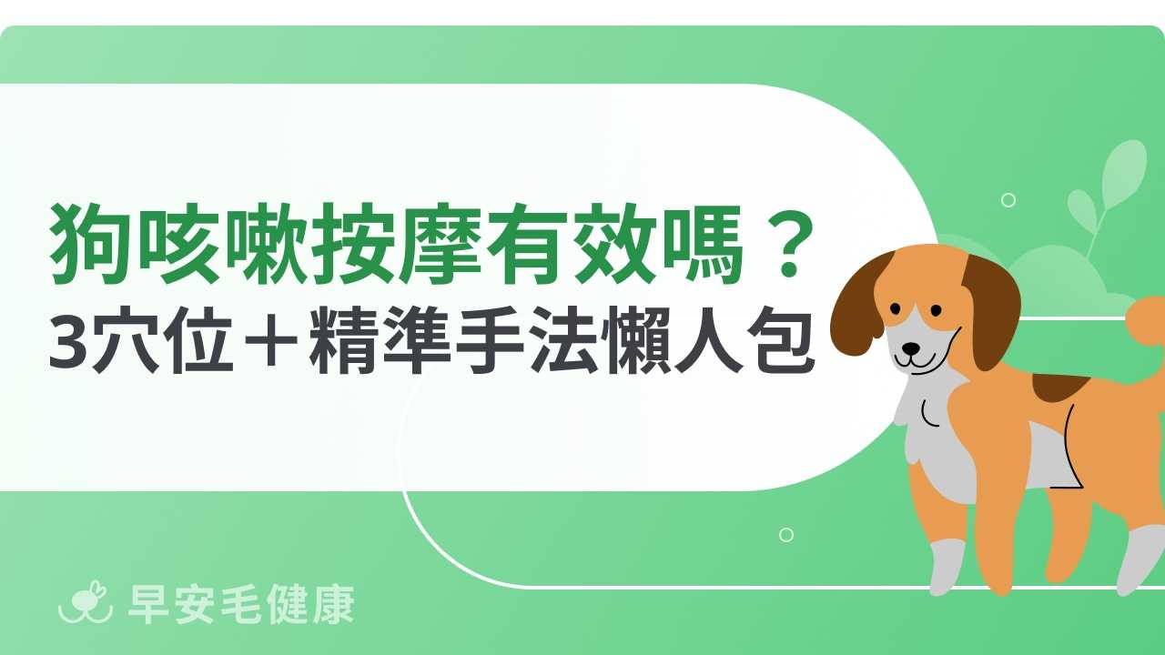 狗狗咳嗽按摩有效嗎？舒緩穴位＋正確手法一次教會你！