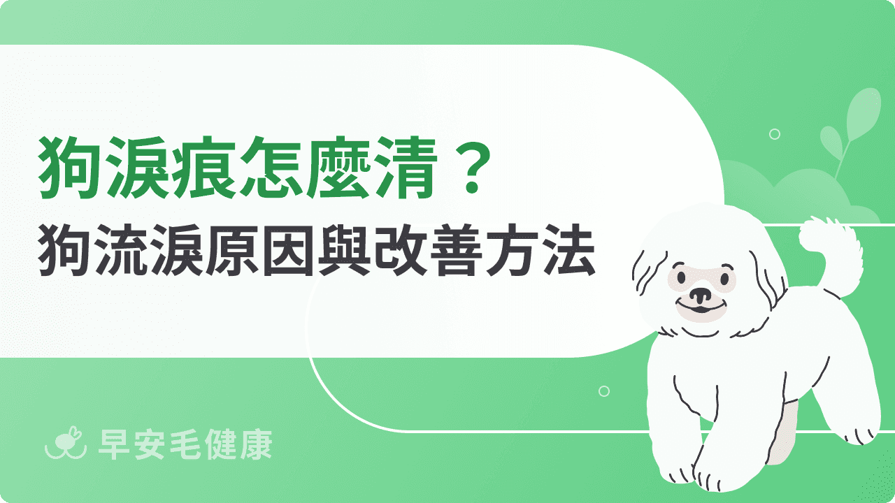 狗淚痕怎麼清？從原因到改善方法，帶你一起解決狗狗的「哭哭臉」