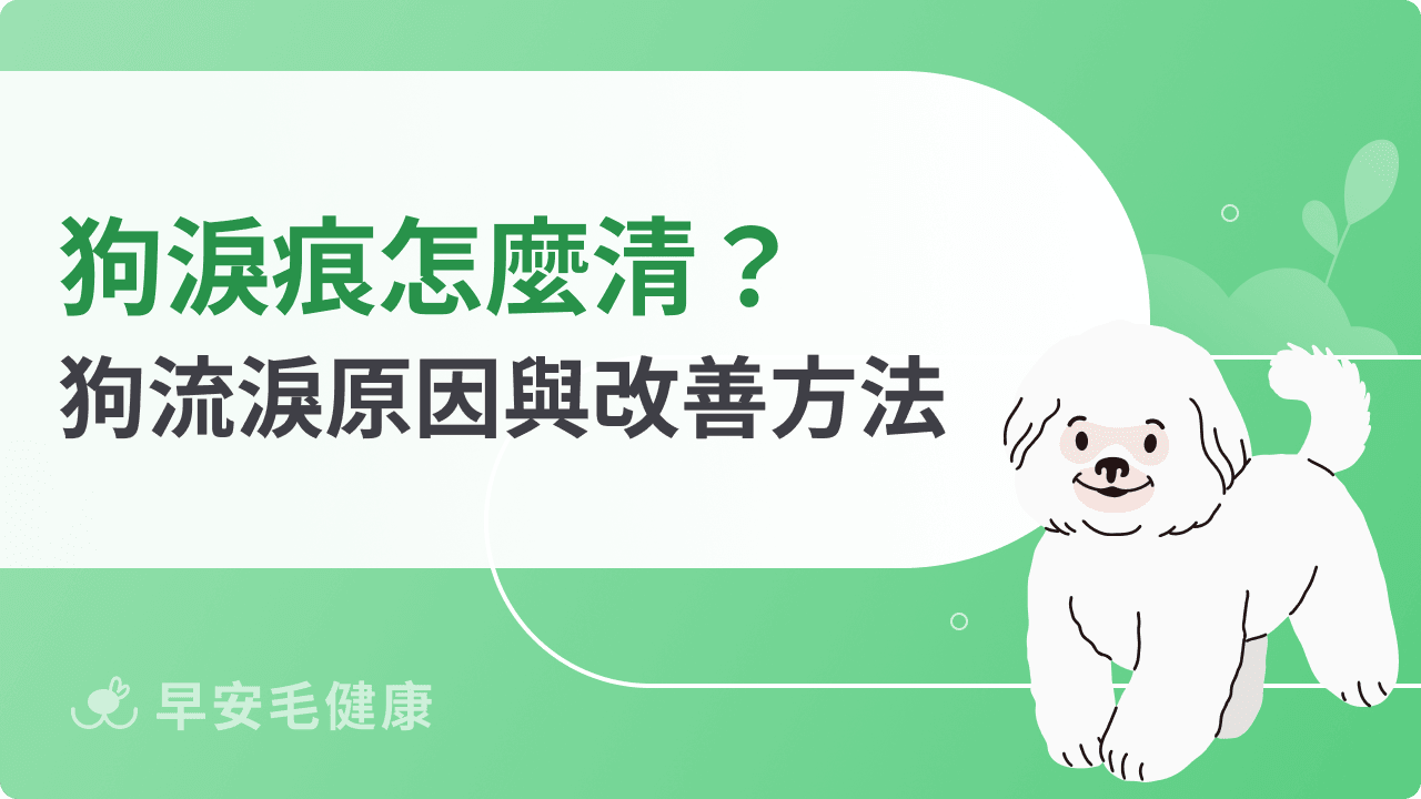 狗淚痕怎麼清？從原因到改善方法，帶你一起解決狗狗的「哭哭臉」