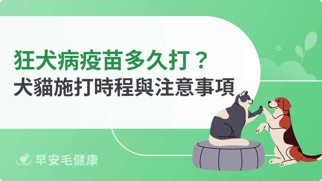 狂犬病疫苗多久打一次？犬貓施打時程與注意事項總整理