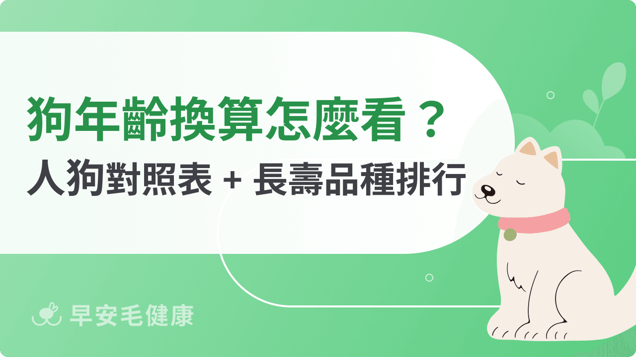 狗年齡換算教學》15歲的狗等於人幾歲?(附狗狗年紀換算表)