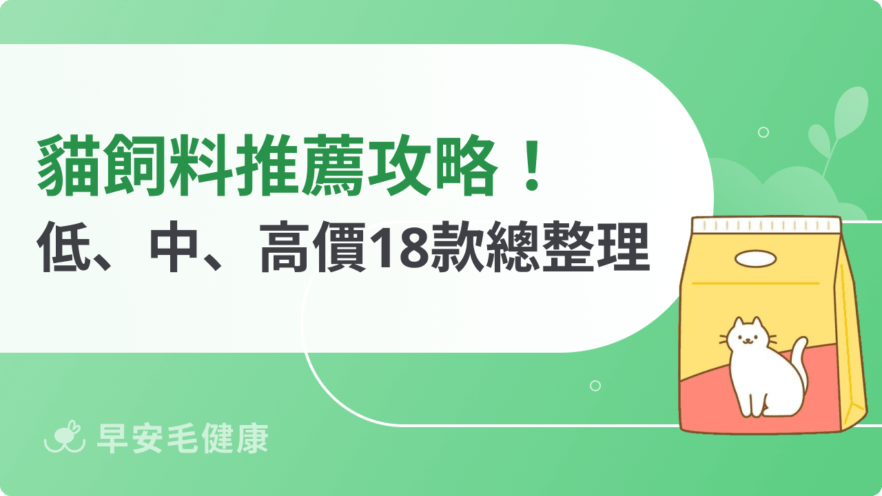 18款貓飼料推薦:2026熱門低、中、高價位貓糧全收錄
