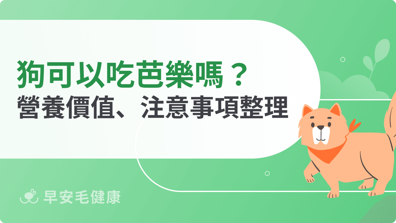 狗可以吃芭樂嗎？餵食狗狗吃芭樂前，你應該要知道的餵食守則