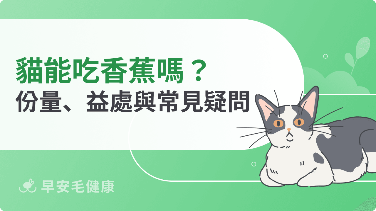 貓可以吃香蕉嗎？安全份量、營養益處與常見疑問解析