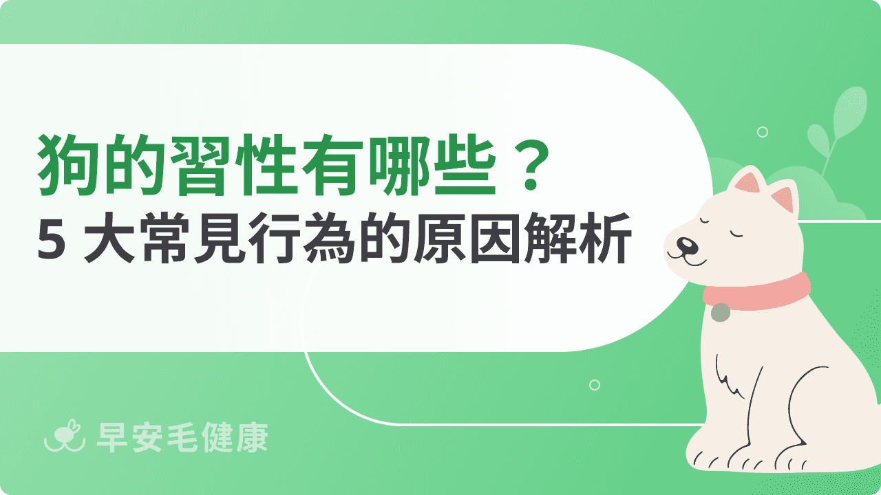 狗的習性有哪些？5 大常見行為的原因解析