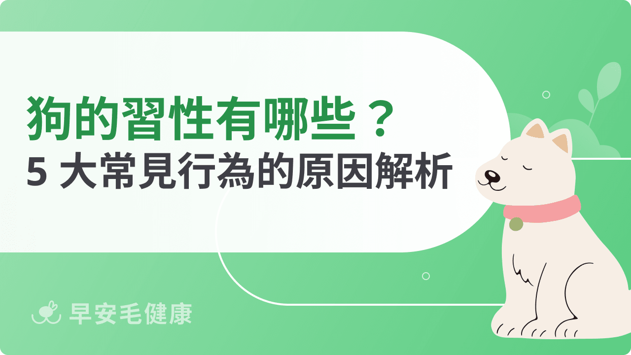 狗的習性有哪些？5 大常見行為的原因解析